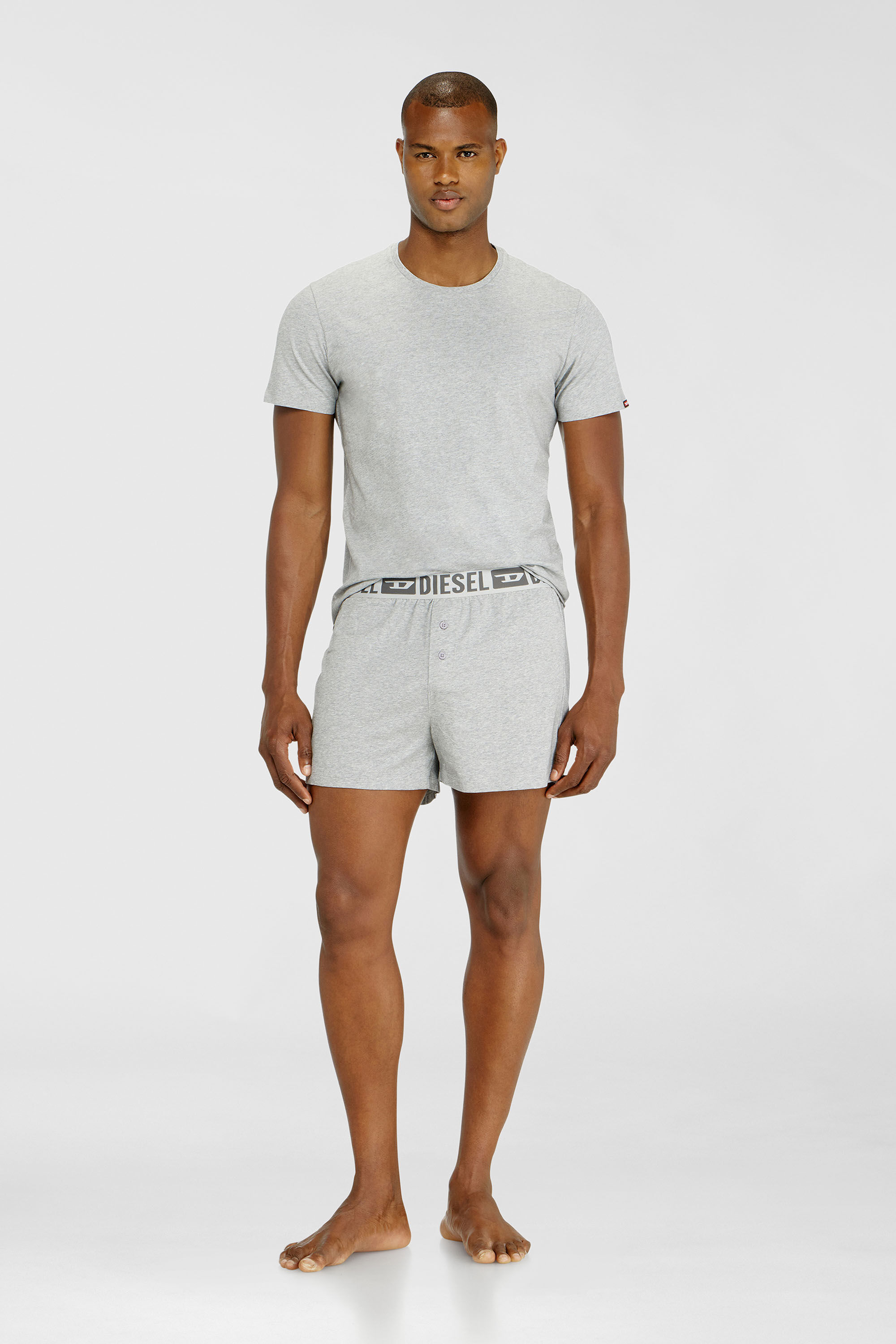 Diesel - STARKIE-D-CORE-2PACK, Man's Two-pack boxer shorts in stretch cotton in Grey - 1