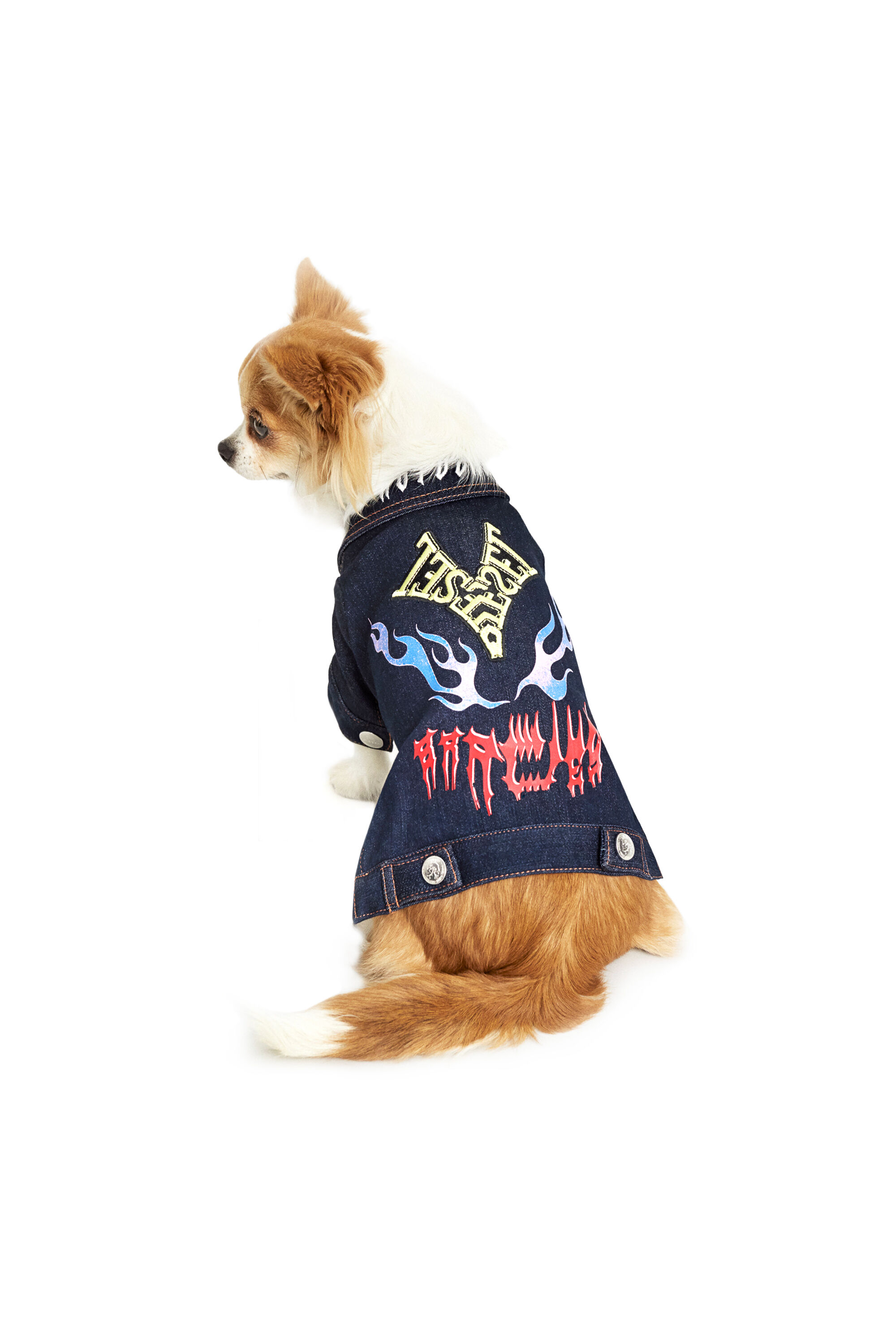 Dog hotsell battle jacket