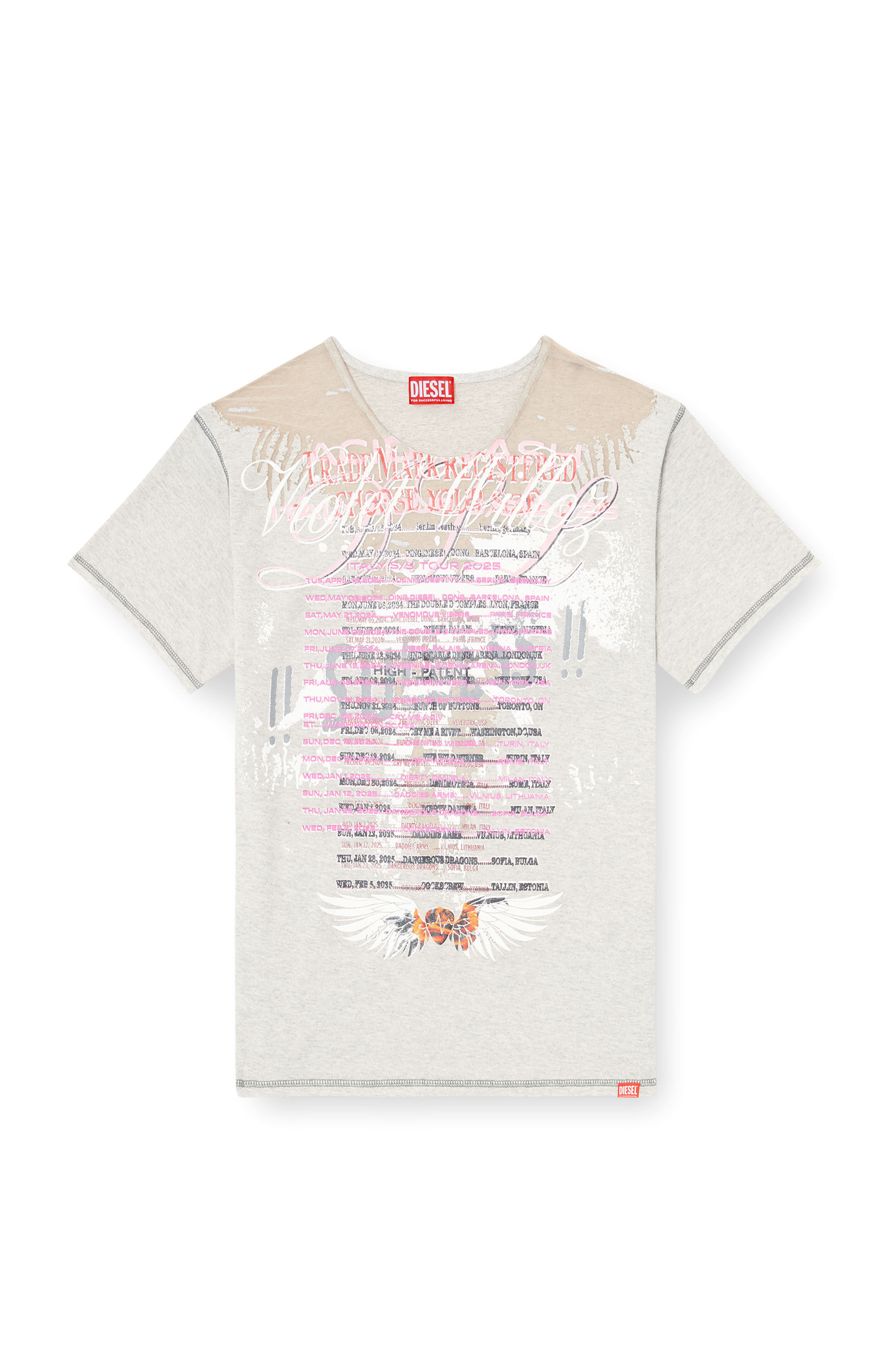 Diesel - T-NORMAC, Woman's Crew neck T-shirt with lyrics print in Grey - 2