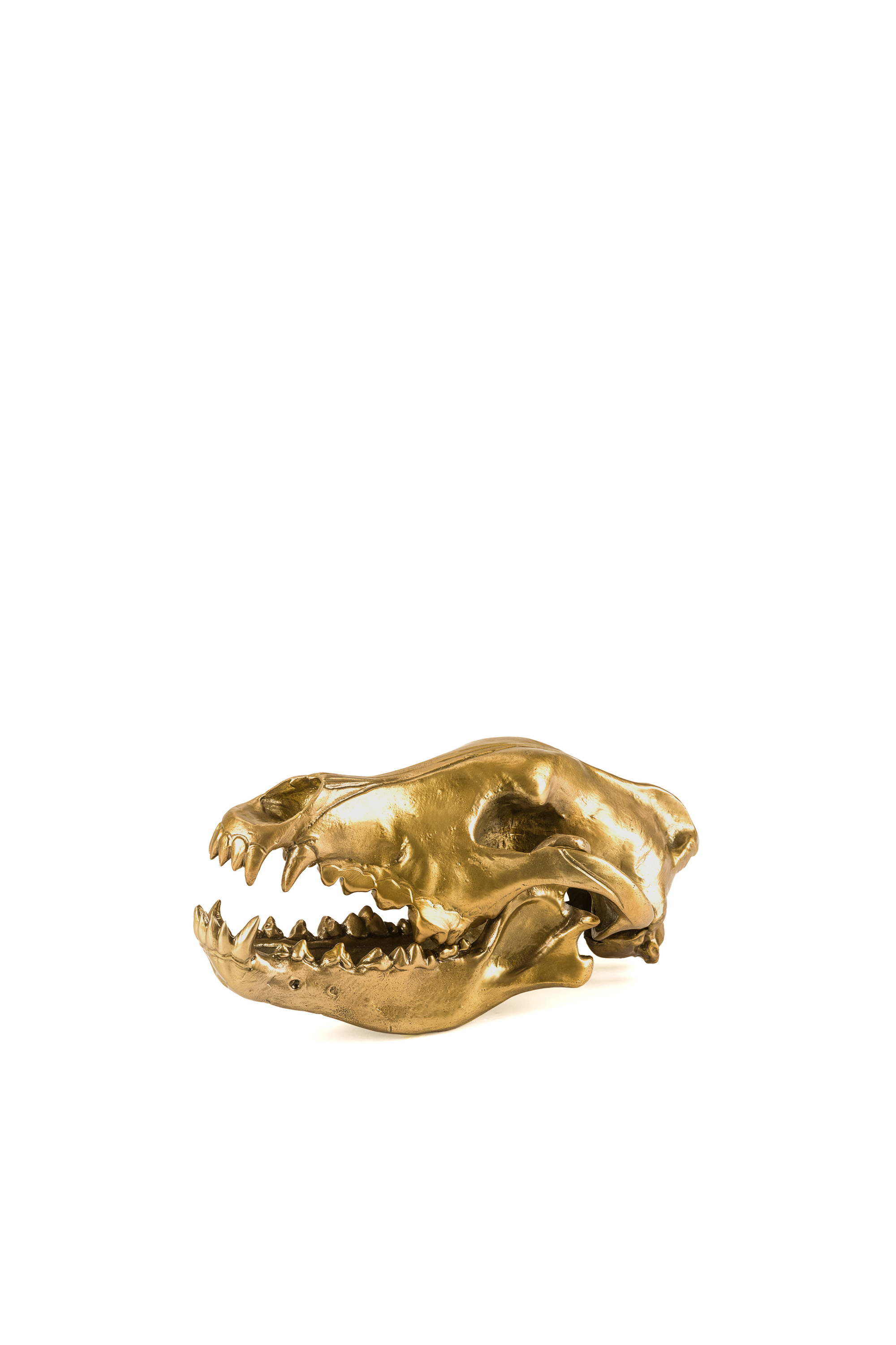 Diesel - 10892 Wunderkammer, Unisex's "Wolf This Way" Wunderkammer Wolf Skull in Gold - 3