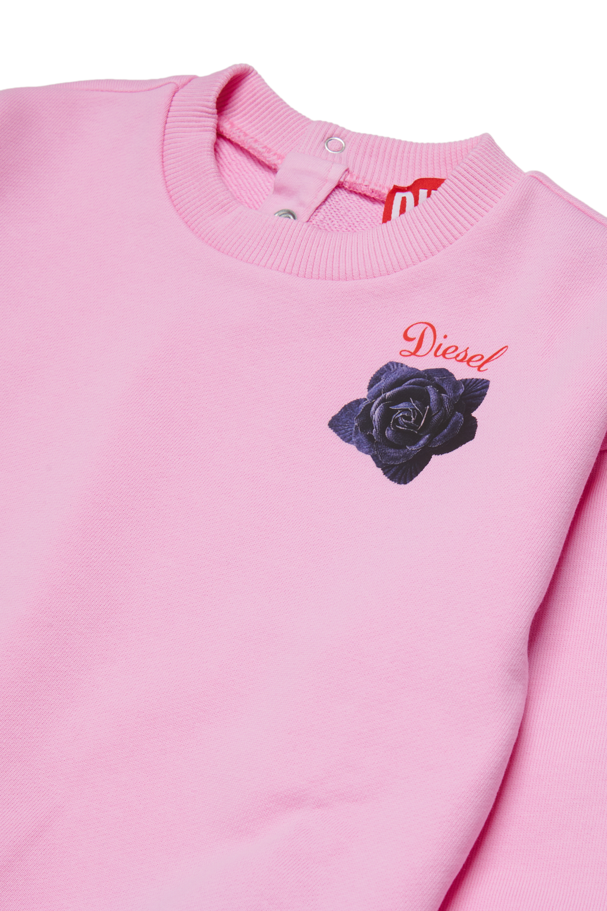 Diesel - SROSEB, Woman's Cotton sweatshirt with rose print in Pink - 3