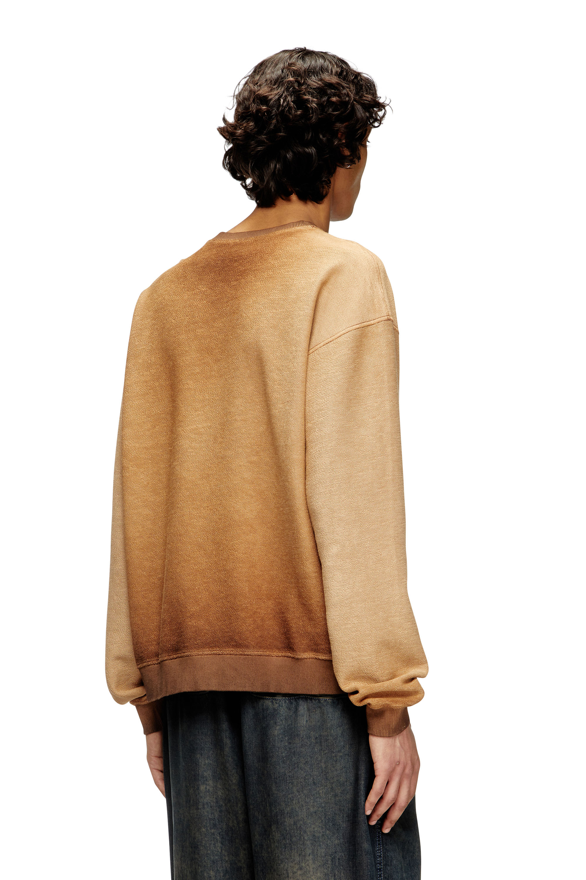 Diesel - S-ARON, Man's Faded sweatshirt with devoré Phoenix logo in Brown - 4