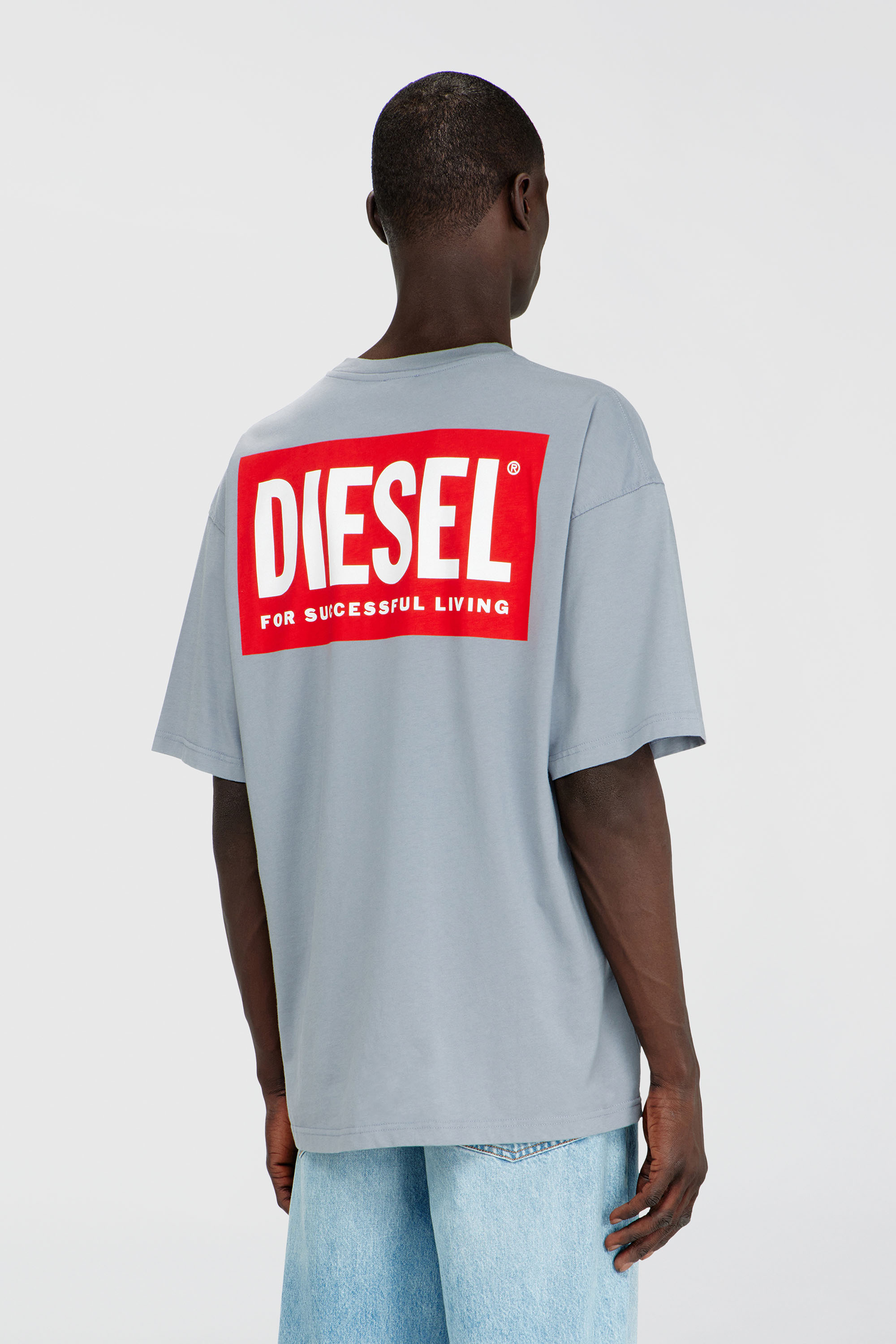 Diesel - T-BOXT-BISK, Man's Cotton T-shirt with Diesel Biscotto print in Light Grey - 4