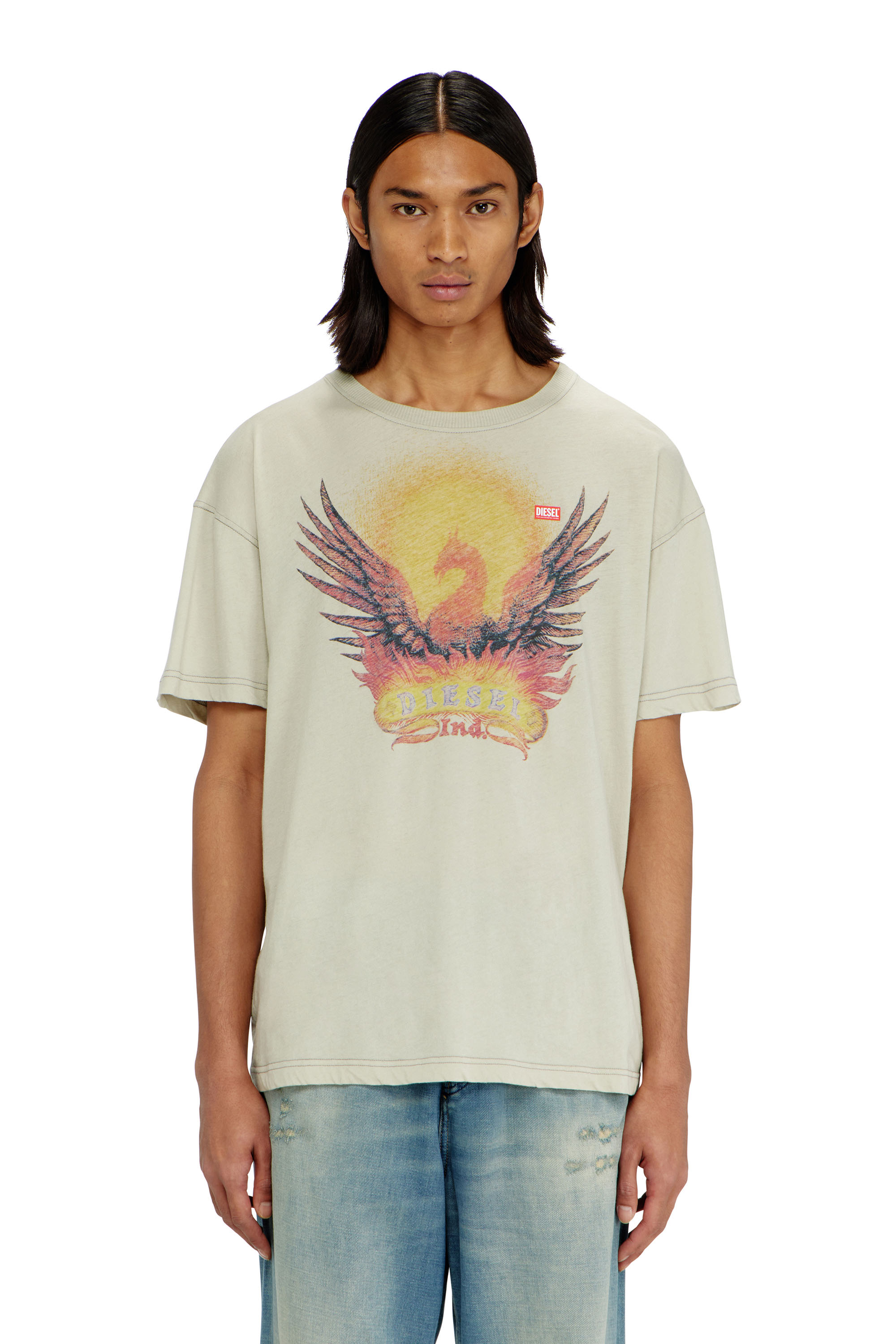 Diesel - T-NORM-AA1, Man's Regular T-shirt with Phoenix print in Beige - 1